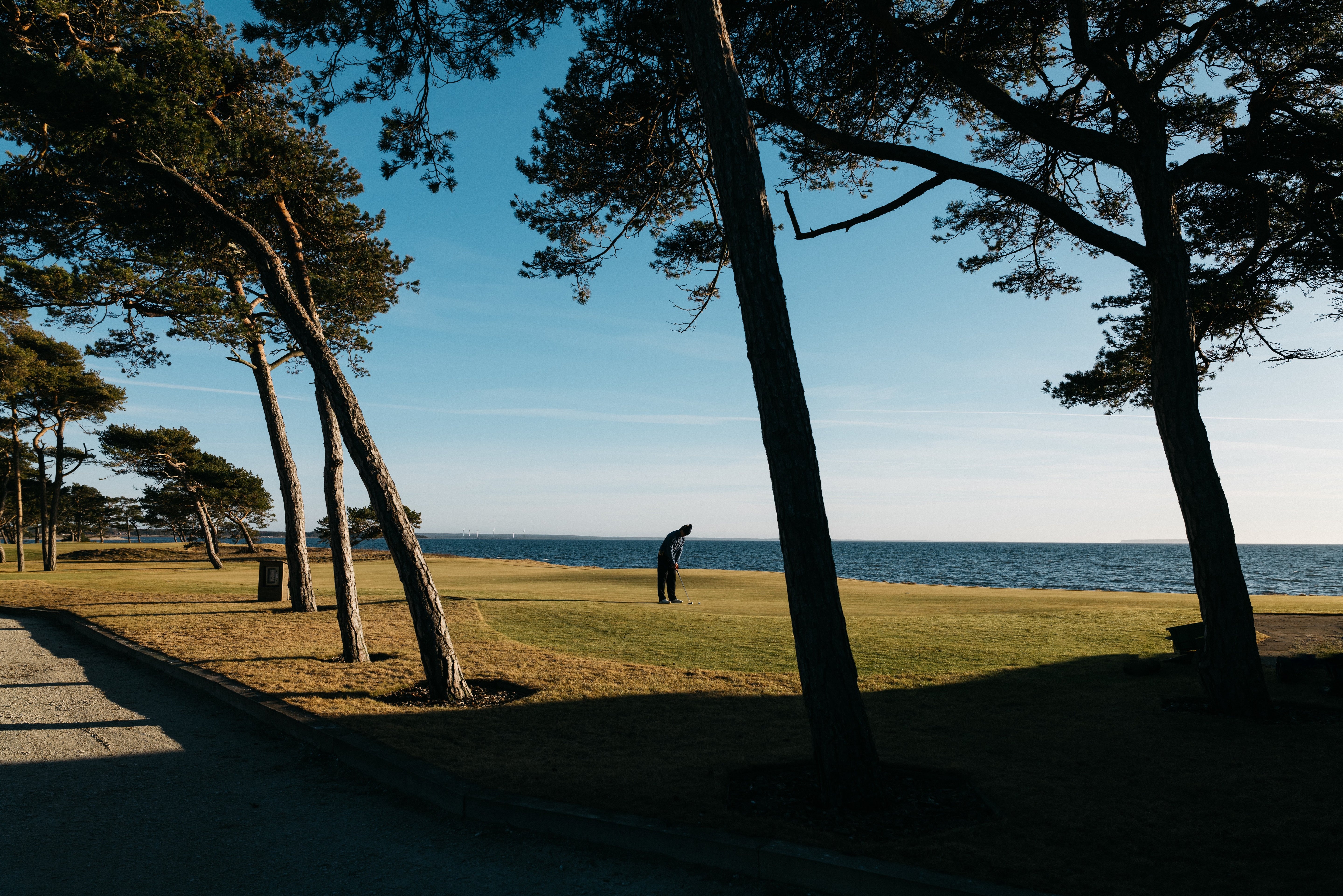Iconic fairways and greens at the finest golf course in the world, showcasing dramatic landscapes and legendary design